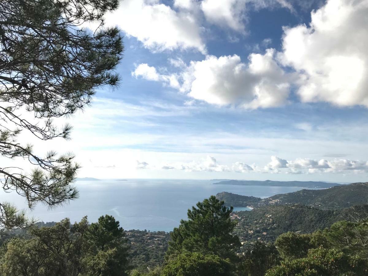 דירות Le Rayol-Canadel-sur-Mer T2 Moderne Avec Jardin מראה חיצוני תמונה